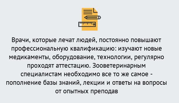 Почему нужно обратиться к нам? Артём Дистанционное повышение квалификации по ветеринарии в Артём