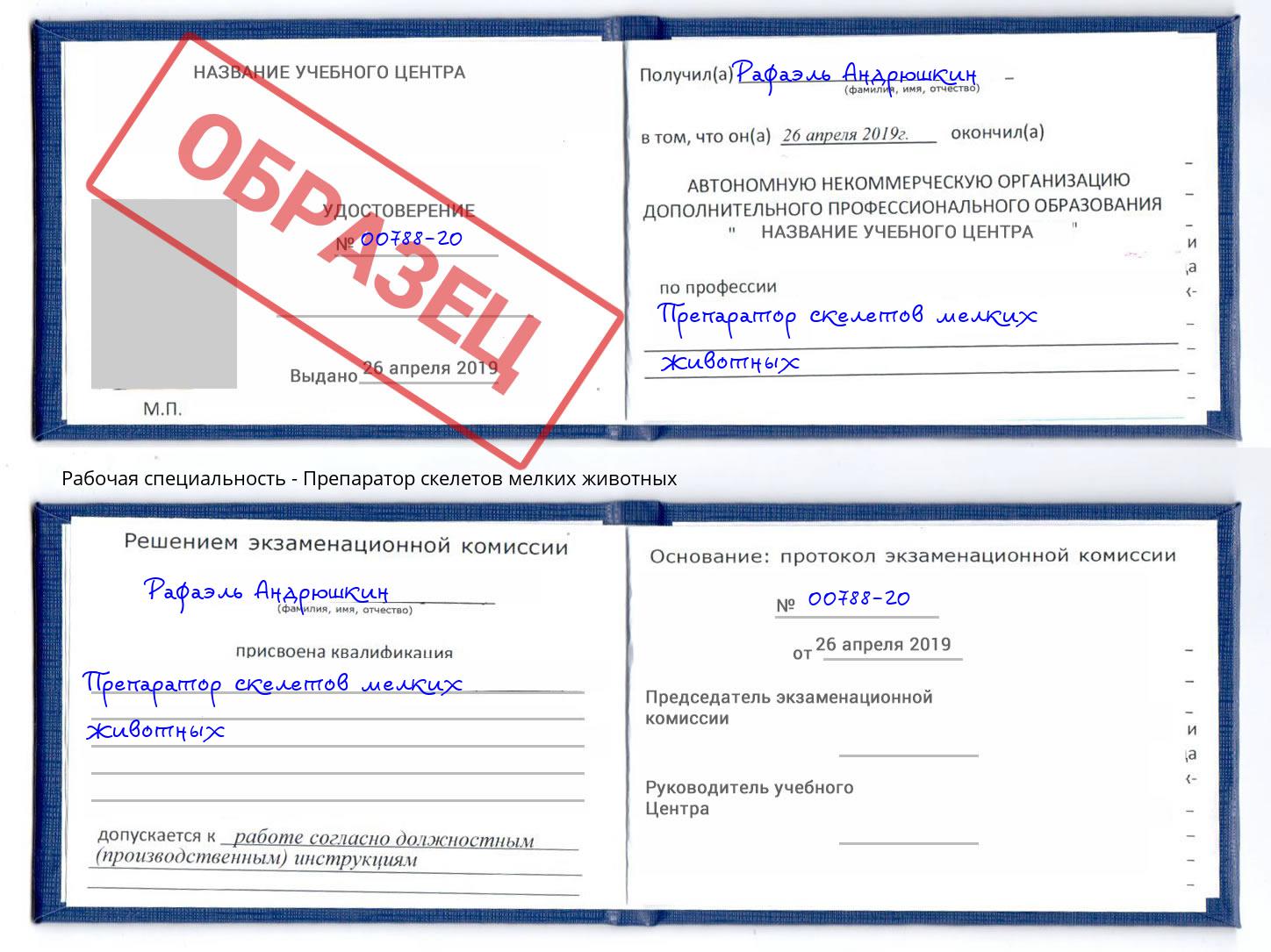 Препаратор скелетов мелких животных Артём