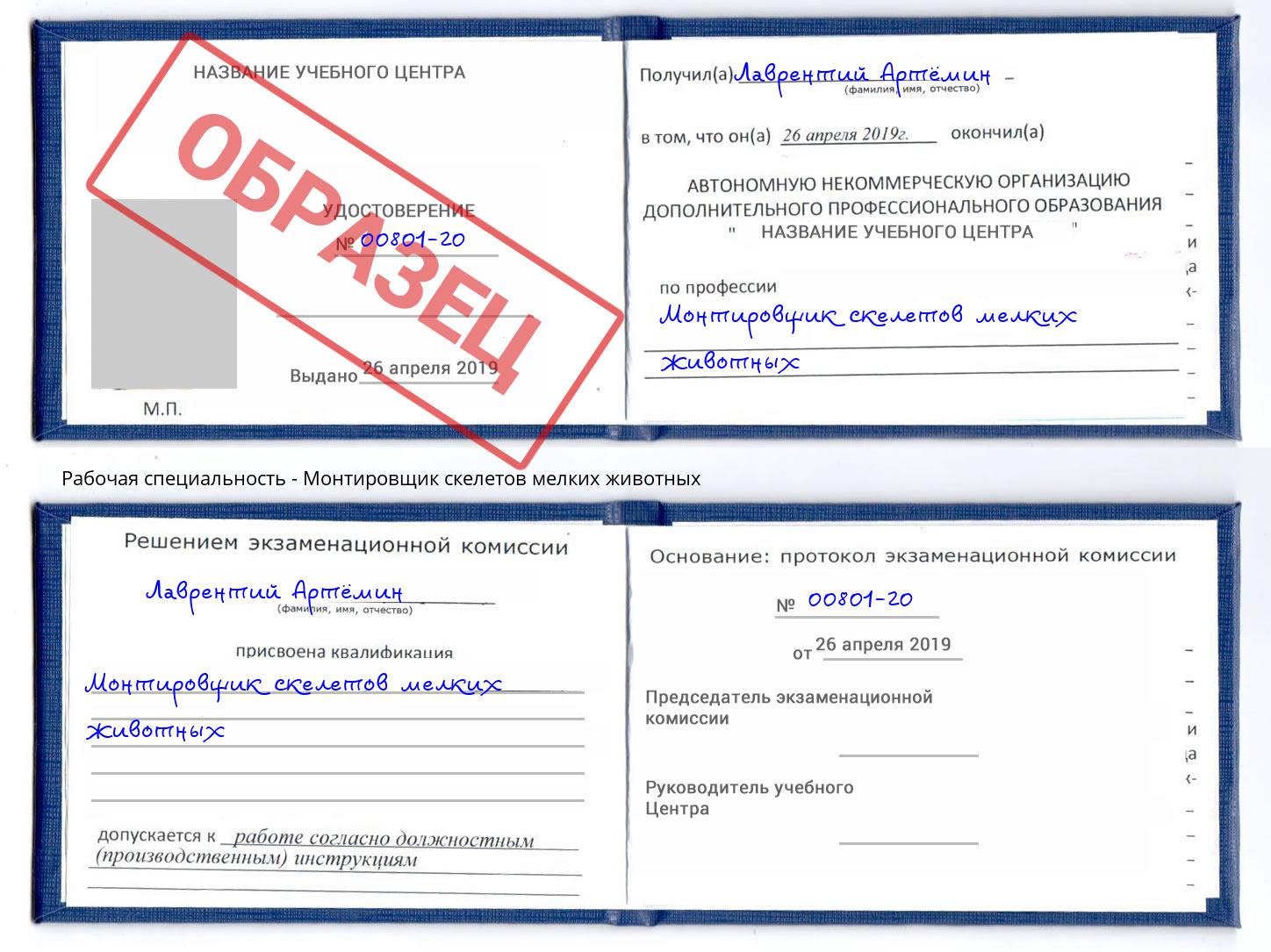 Монтировщик скелетов мелких животных Артём