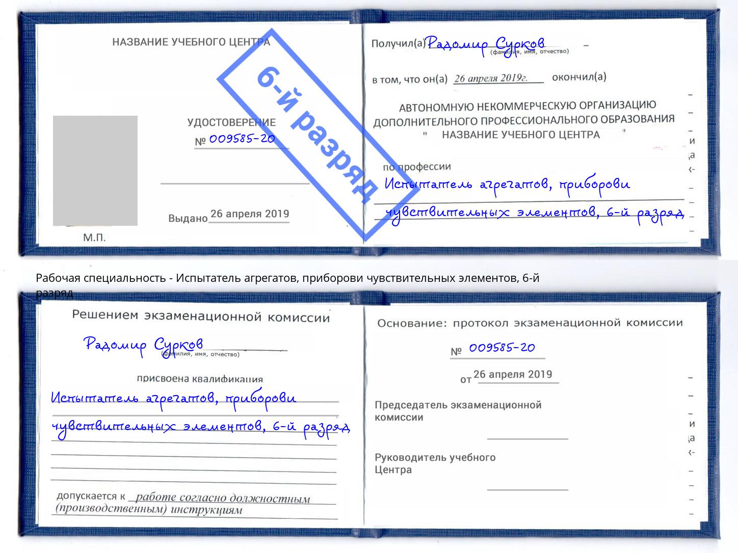 корочка 6-й разряд Испытатель агрегатов, приборови чувствительных элементов Артём