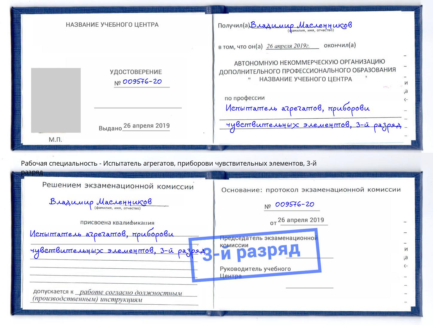 корочка 3-й разряд Испытатель агрегатов, приборови чувствительных элементов Артём