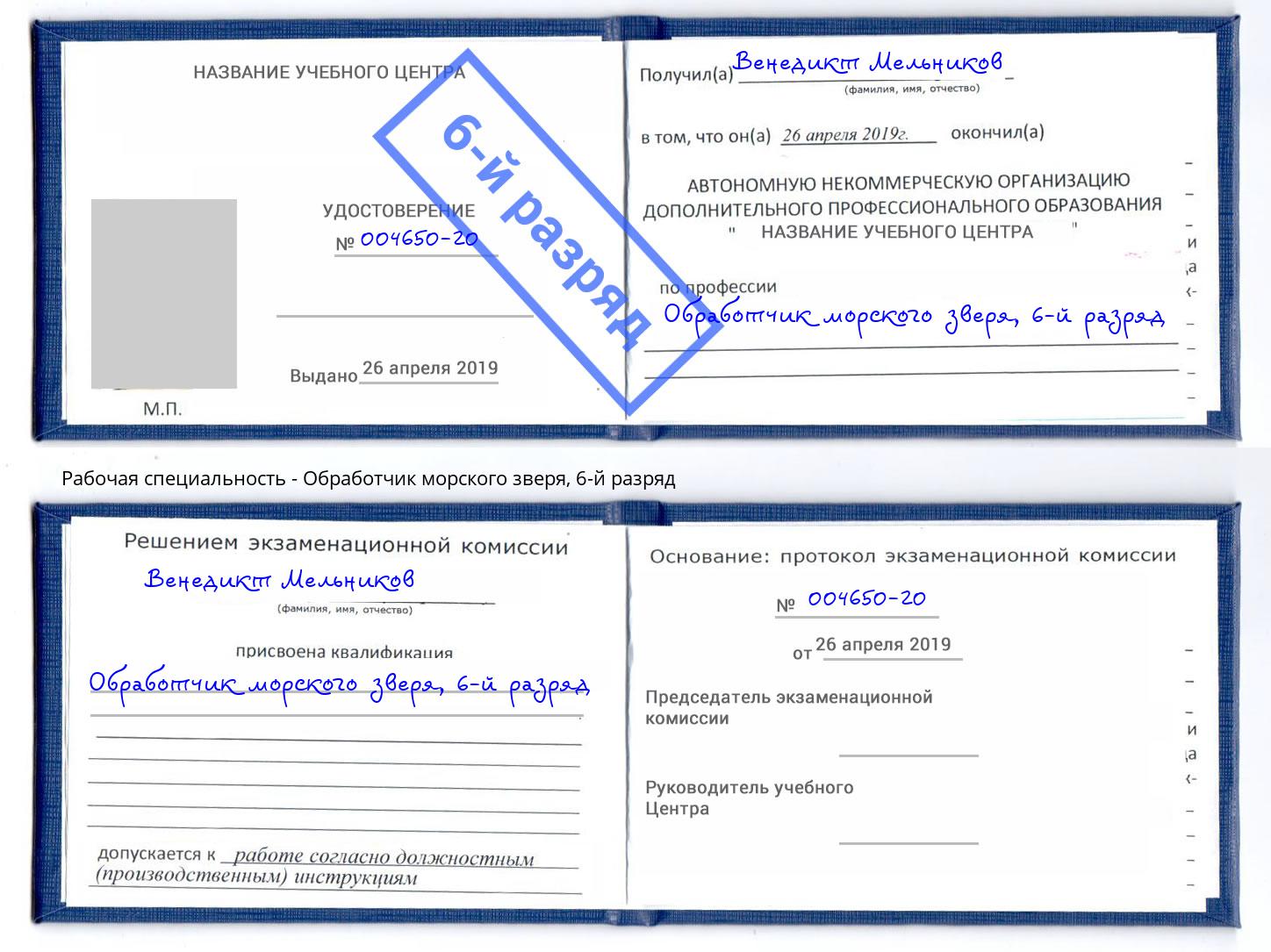 корочка 6-й разряд Обработчик морского зверя Артём