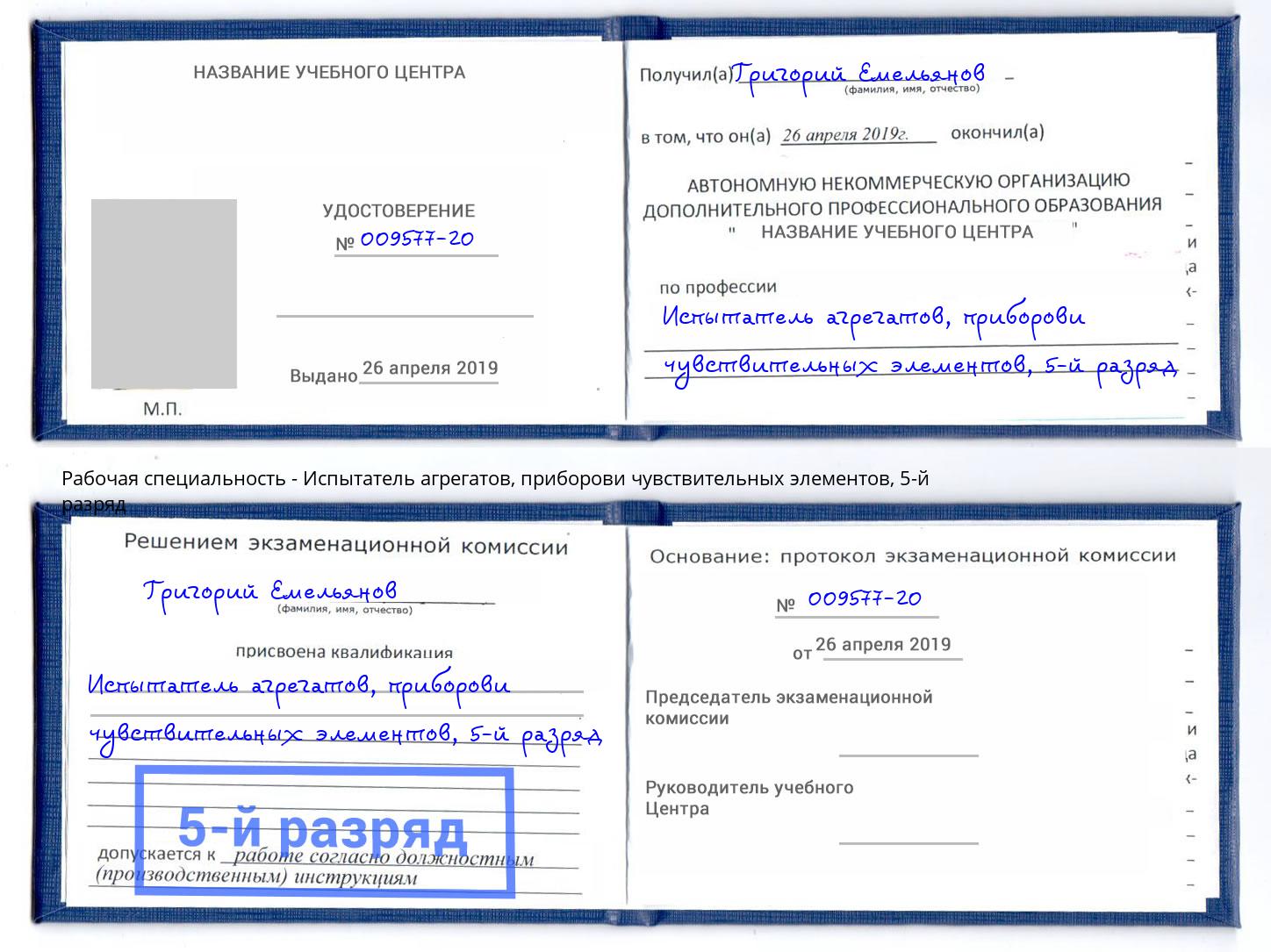 корочка 5-й разряд Испытатель агрегатов, приборови чувствительных элементов Артём