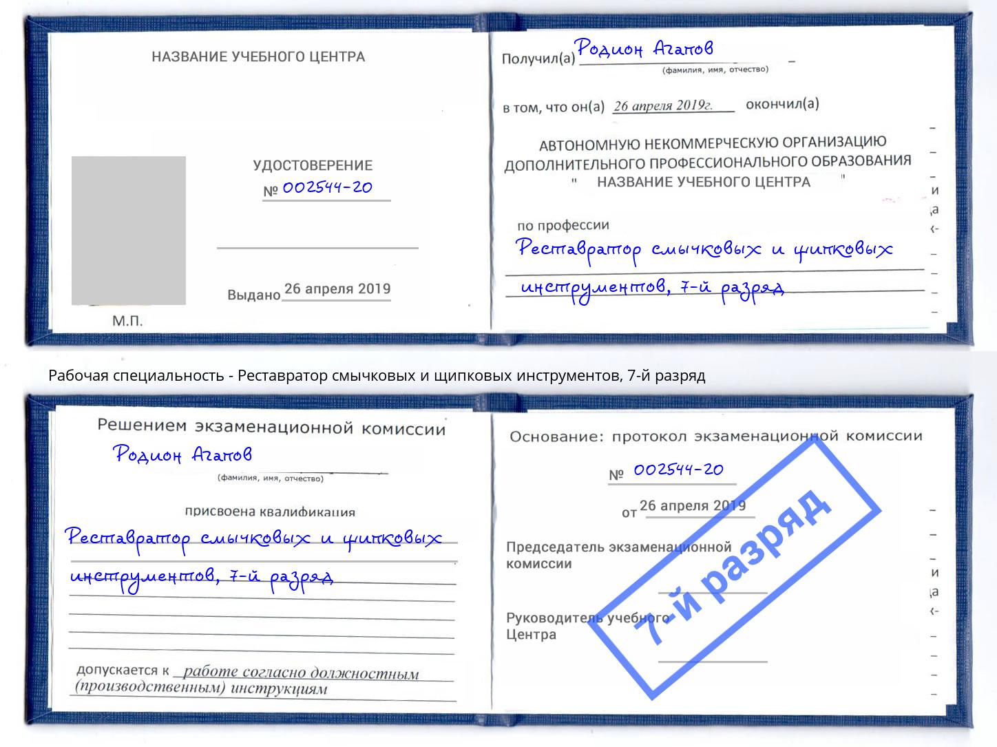 корочка 7-й разряд Реставратор смычковых и щипковых инструментов Артём