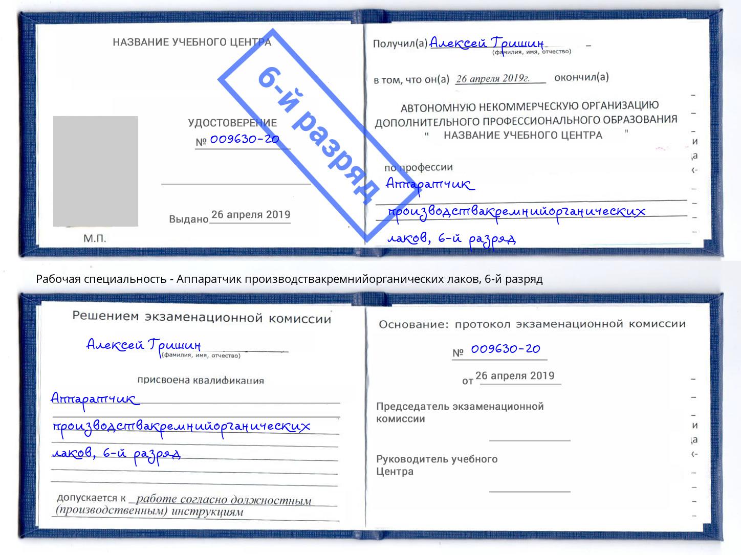 корочка 6-й разряд Аппаратчик производствакремнийорганических лаков Артём