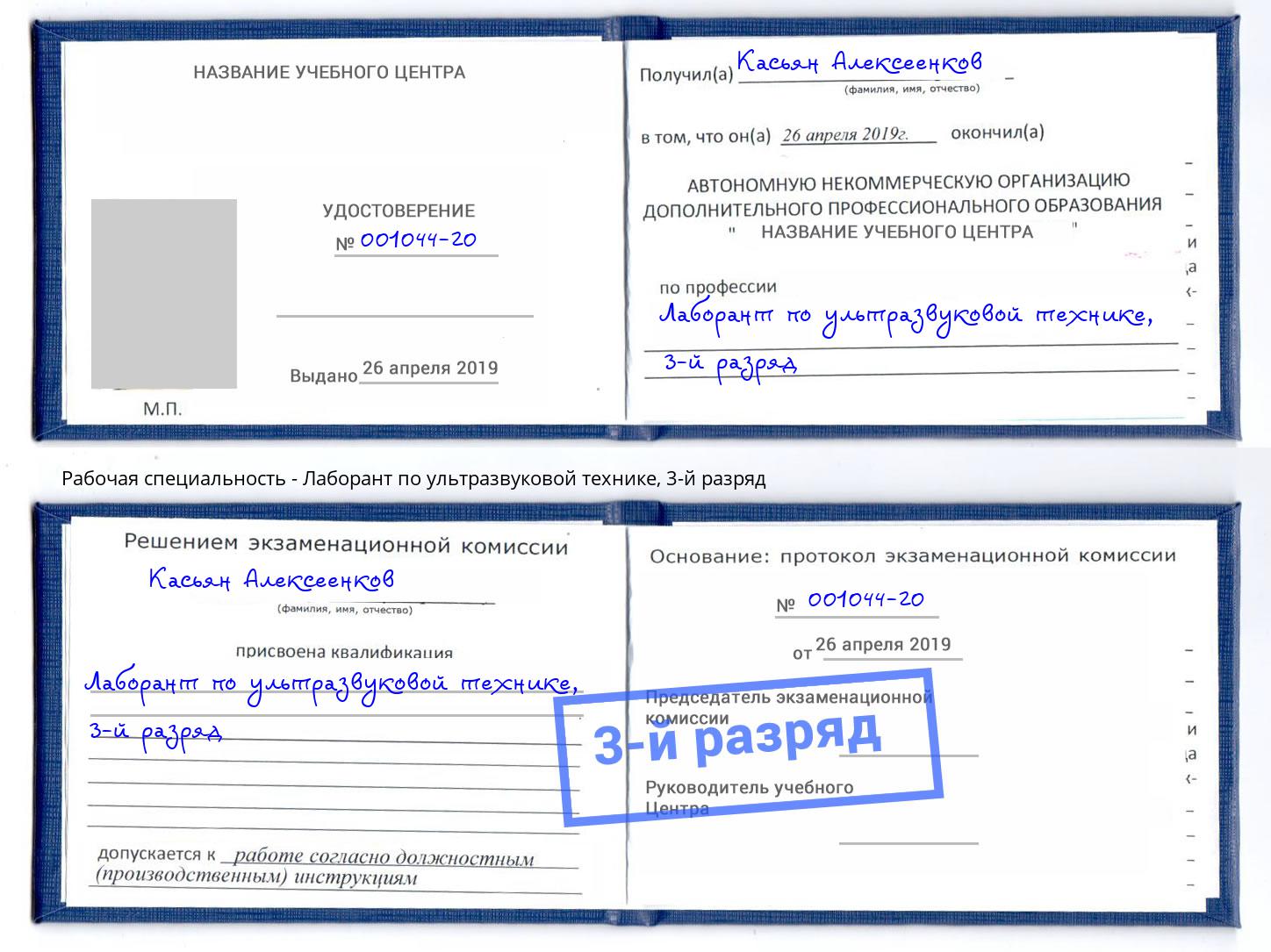 корочка 3-й разряд Лаборант по ультразвуковой технике Артём