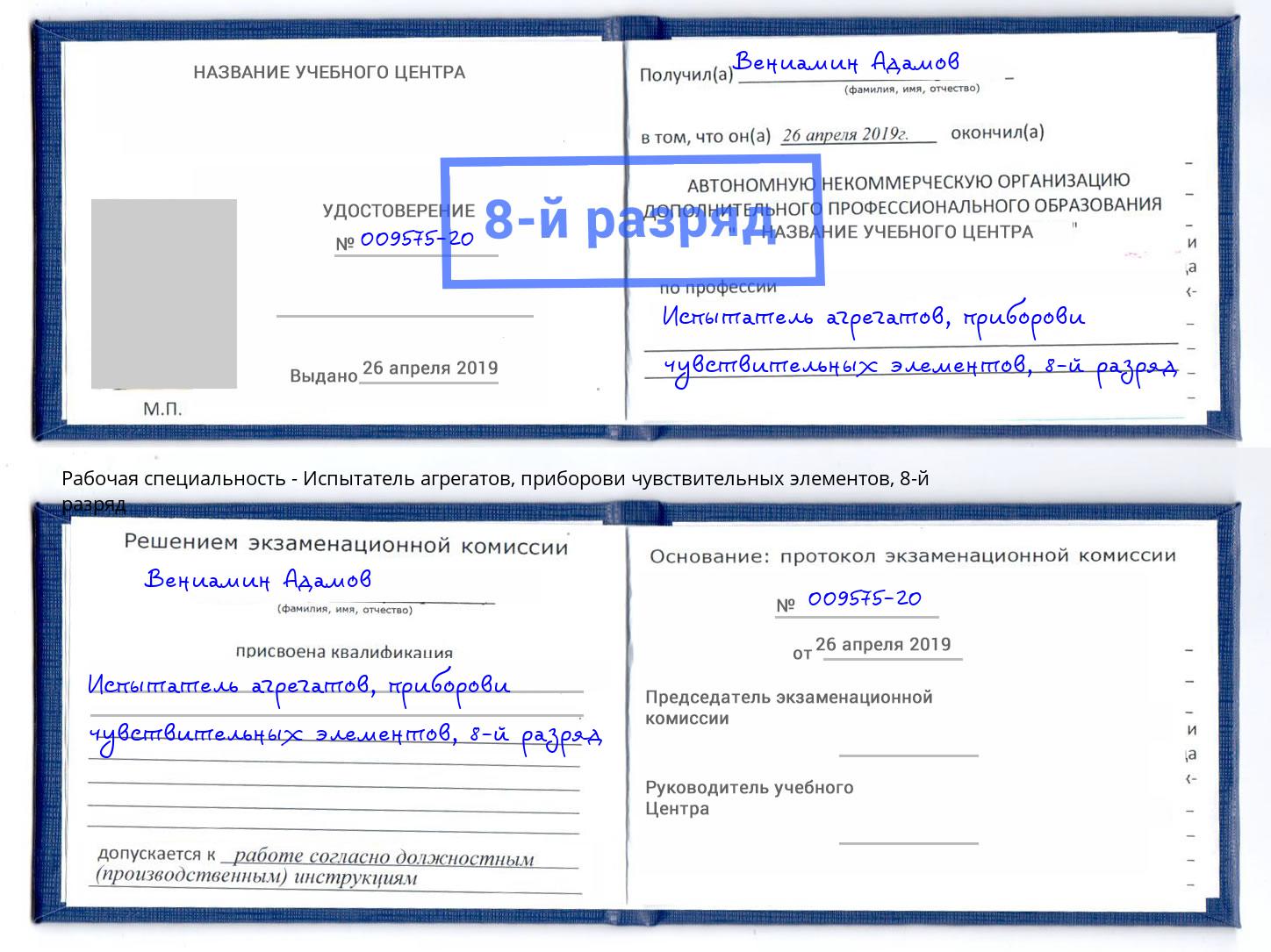 корочка 8-й разряд Испытатель агрегатов, приборови чувствительных элементов Артём